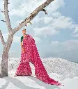 WhatsApp Image 2025-02-13 at 4.27.56 PM.webp