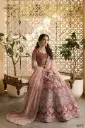 Designer Butterfly Net Lehenga Set