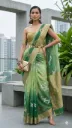 Rangkat Kora Silk Banarasi