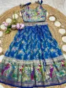 Paithani Lehenga Choli